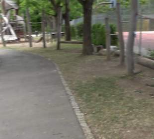 Spielplatz Heckenrosenweg Gülstein