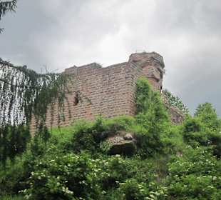 Burgruine Hohenbourg
