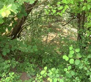 Dußlinger Geschichtspfad