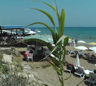 No Name Strand - Restaurant