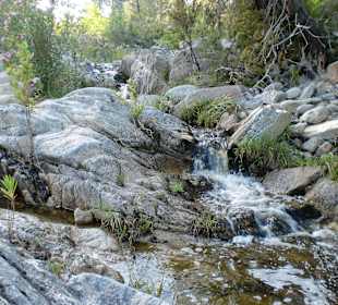 Mühlenwanderung