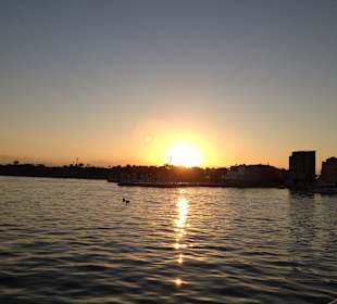Zum Sonnenuntergang zurück Richtung Hafen