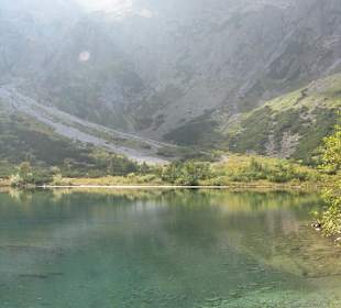 Plesnivec
