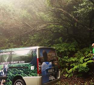 Feel Tenerife authentic experiences