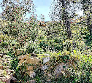 Wandern Isla del Sol