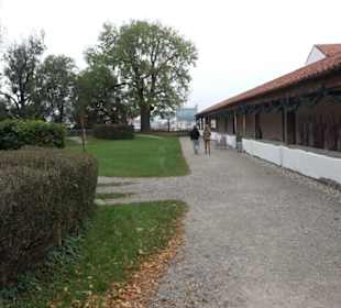 Gallorömischer Tempelbezirk