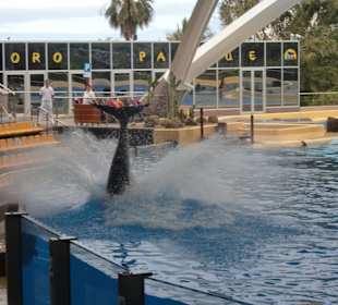 Die ersten Reihen wurden kostenlos geduscht