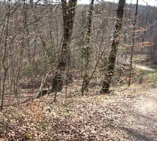 Geologischer Lehrpfad Kirnbachtal