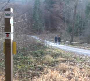 Schönbuch Schaichtal