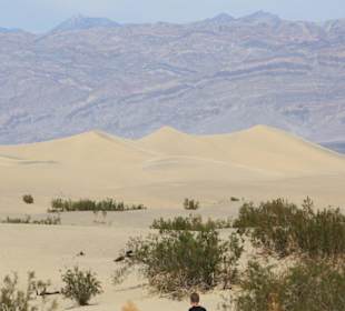 Mesquite Sand Dunes