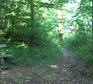 Burgruine Andeck Talheim