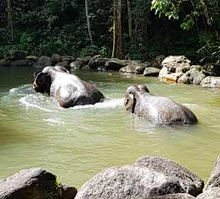 Khao Lak Land Discovery