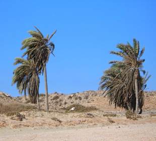 Zarzis spiaggia