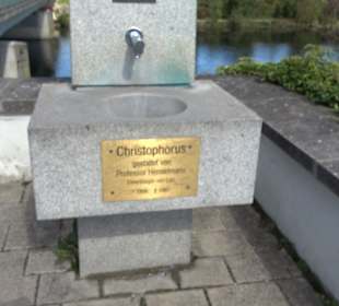 Schaukelweg an der Donau