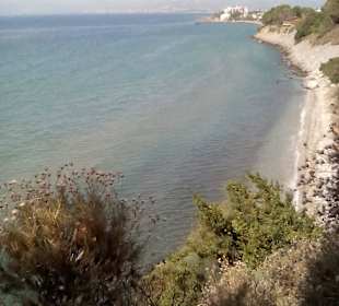 Taras widokowy w drodze do parku