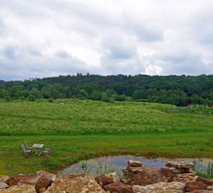Kleine Teiche wurden eingebracht