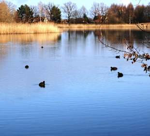 Ruhe und Stille am Teich