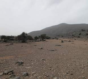 Safari nach Jebel Harim 