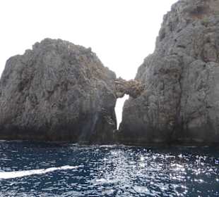 Schiffsausflug zum Cap Formentor mit Delfin Negro