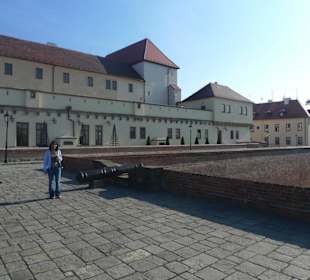 На территории