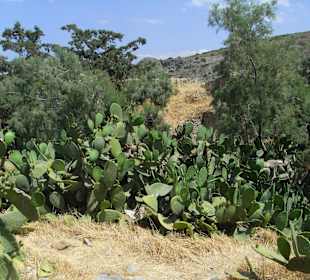 Spinalonga