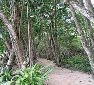 Nationalpark Cahuita