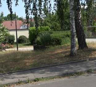 Evangelische Martinskirche Steinenbronn