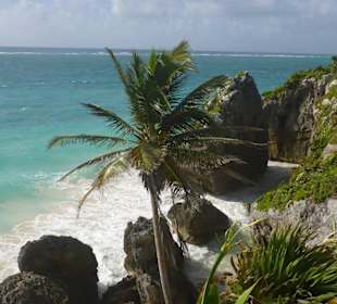 Ausblick Tulum - Ausflug gebucht über Aledia-Tours