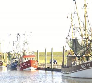 Dorum Kutterhafen