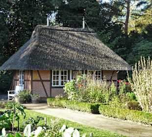 Rundgang durch den Botanischen Garten Hamburg