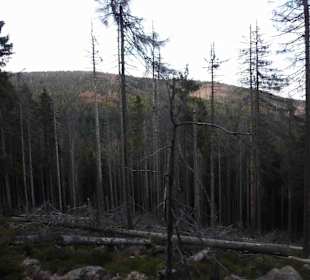 Wanderung zum Brocken
