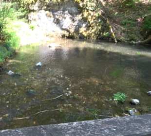 Premiumwanderweg Hochgehschätzt