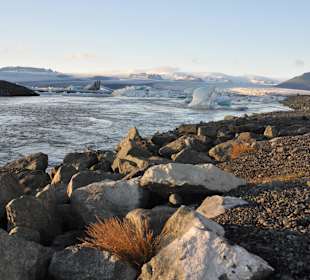 Jökulsárlón - laguna lodowcowa