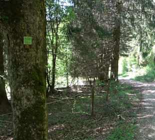 Premiumwanderweg Hochgehschätzt