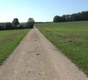 Kelten-Erlebnis-Pfad Erkenbrechtsweiler