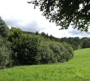 Themenweg Kaiserweg Zimmern