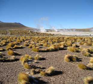 El Tatio