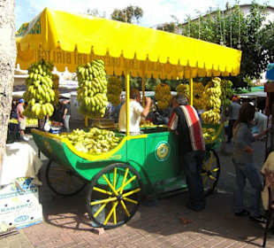 Bananen in Hülle und Fülle