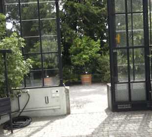 Alter botanischer Garten
