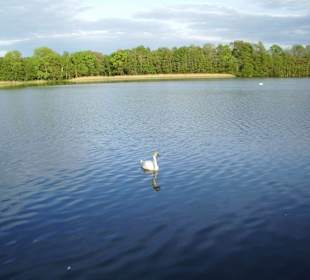Ruhe am Wasser