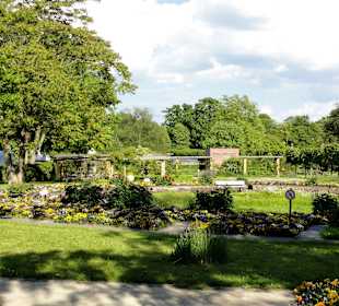 Impressionen aus dem Botanischen Garten