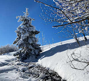 Wandern Rechenberg-Bienenmühle