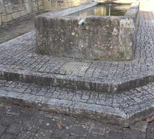 Brunnen Altenriet