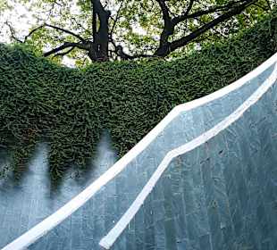 Tree Tunnel Fort Canning Park