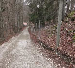 Wildpark Eichert