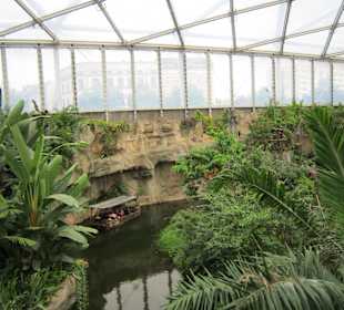 Boot im Gondwanaland