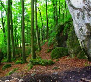 Die Oswaldhöhle 60 Mtr. Länge