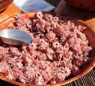 Impressionen vom Wochenmarkt Saint-Cyprien-Plage