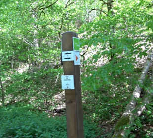 Premiumwanderweg Hochgehschätzt