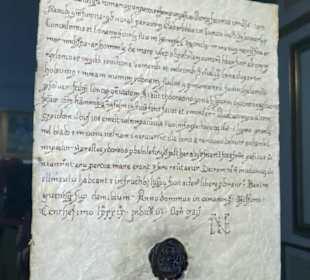 Alles nur Fälschungen